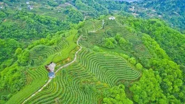 永顺县有多少人口_湘西遭暴雨袭击 永顺因灾死亡2人,吉首一家三口河边看水拍