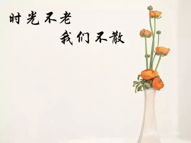愿我们永远也走不散! 返回搜
