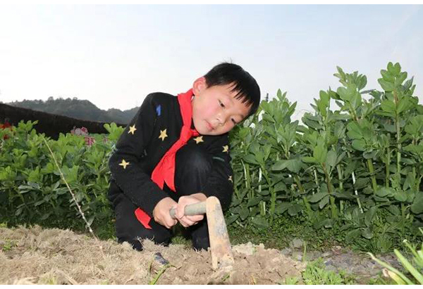 杭州富阳区首发小学生“劳动清单”，每年级设75件劳动事项
                
                 