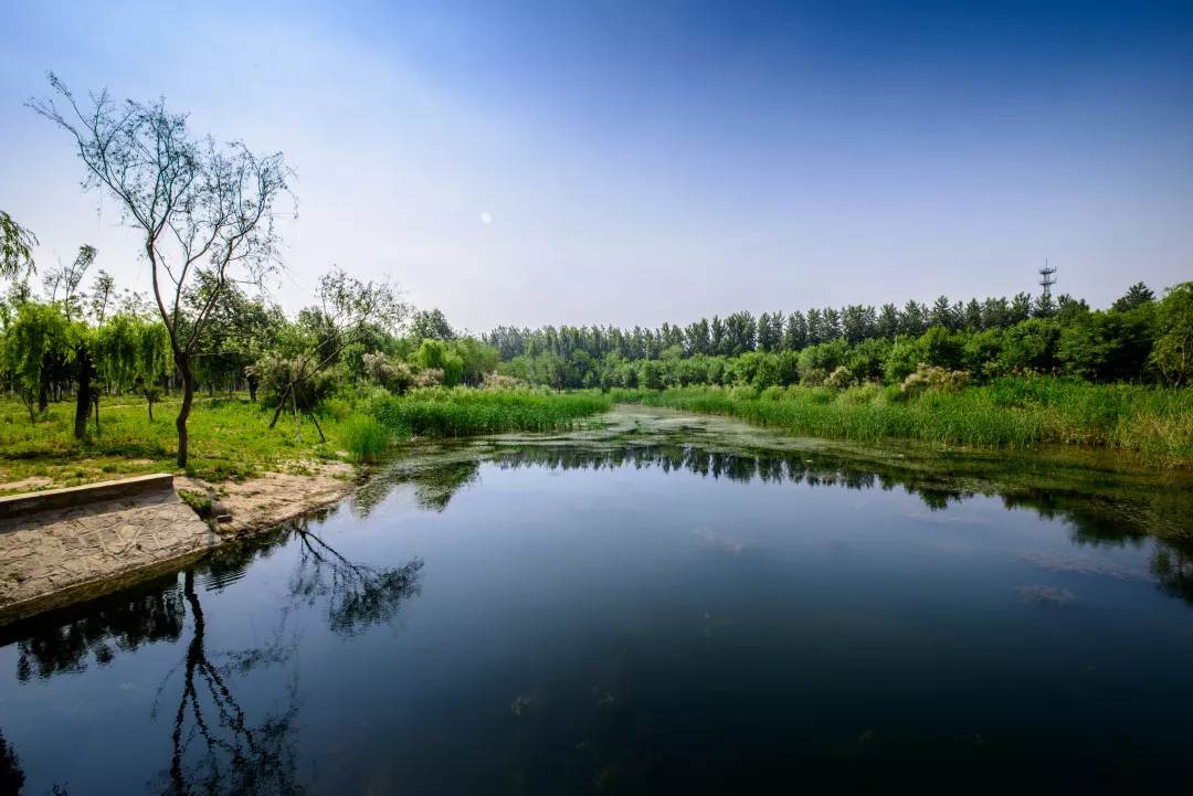 济西国家湿地公园位于 济南市中心城区的西部 玉清湖水库的西侧和