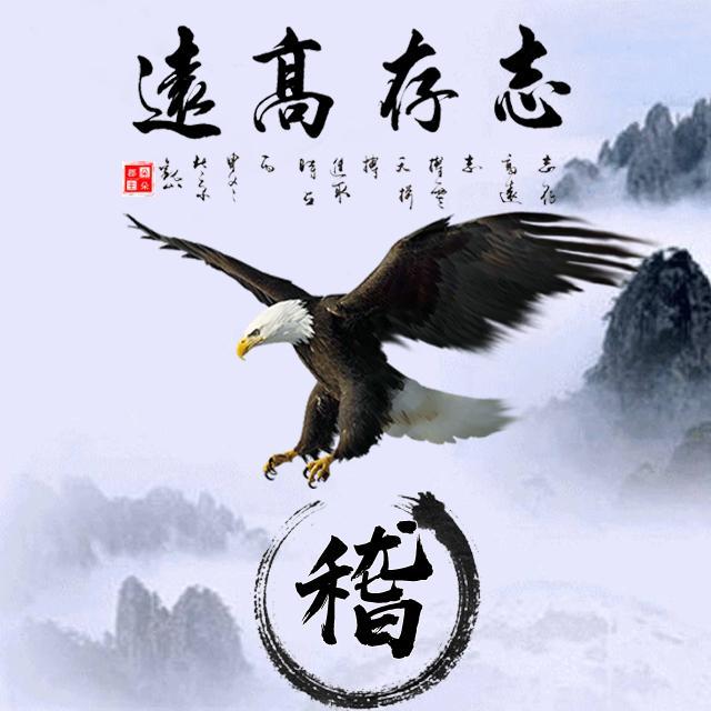 中国风微信头像,有百家姓,还有你的名字,志存高远主题