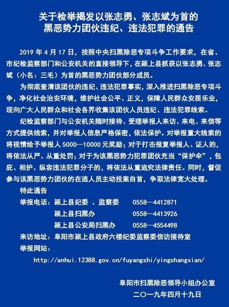 颍上张家第二代两人涉黑恶被抓家族白宫书记曾被判死缓