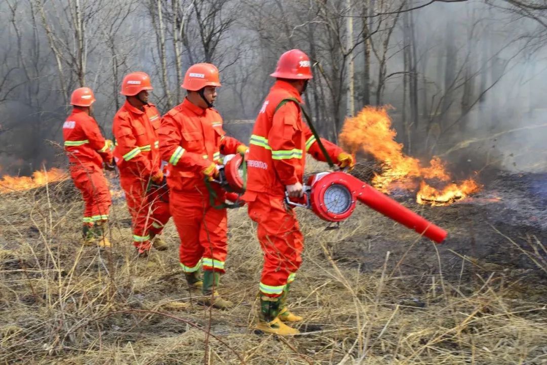 必将对苇河局当前乃至今后一段时期森防工作特别是应对扑灭森林火灾