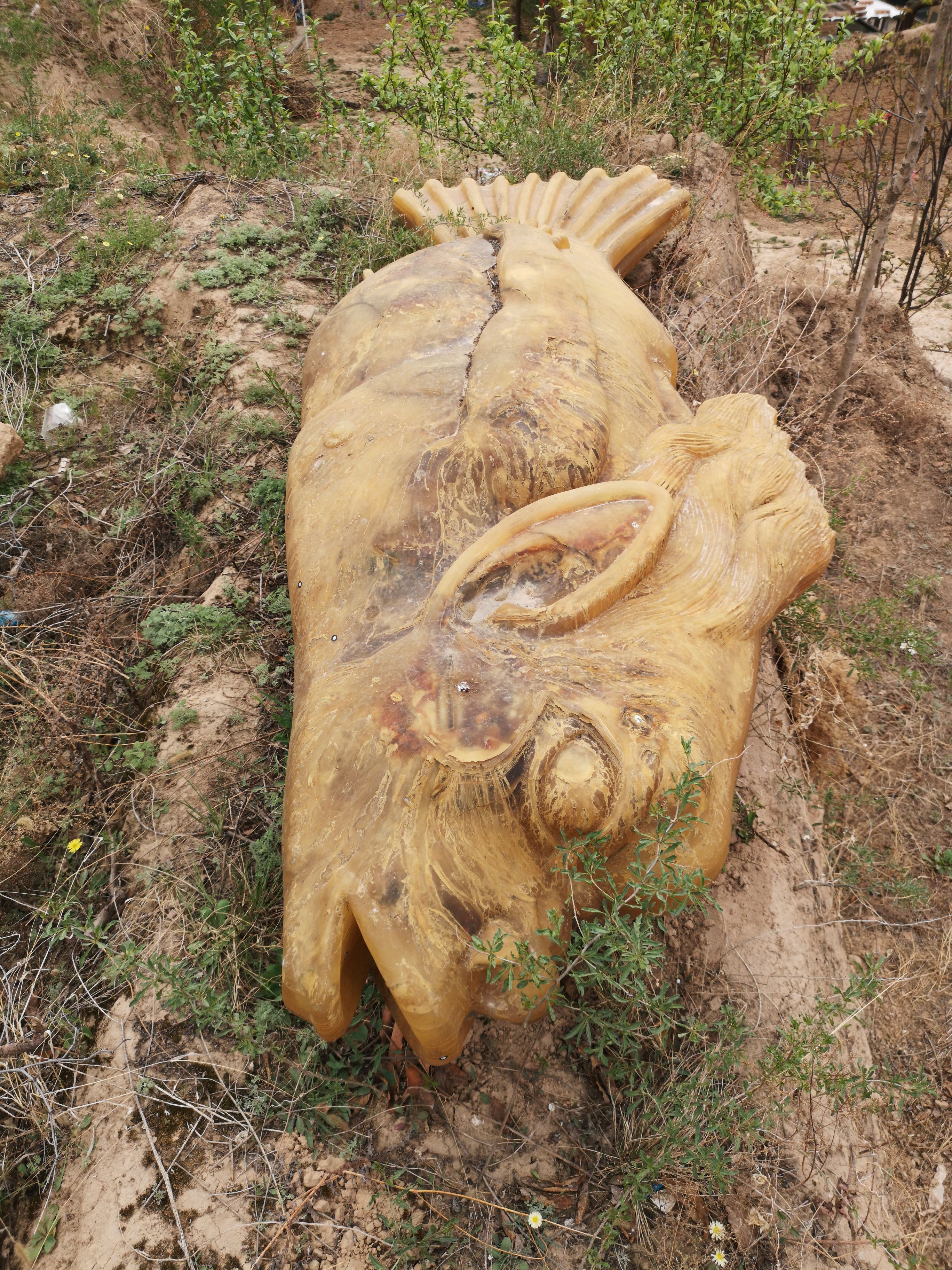 靳村乡鱼山村多少人口_灵石靳村王永军