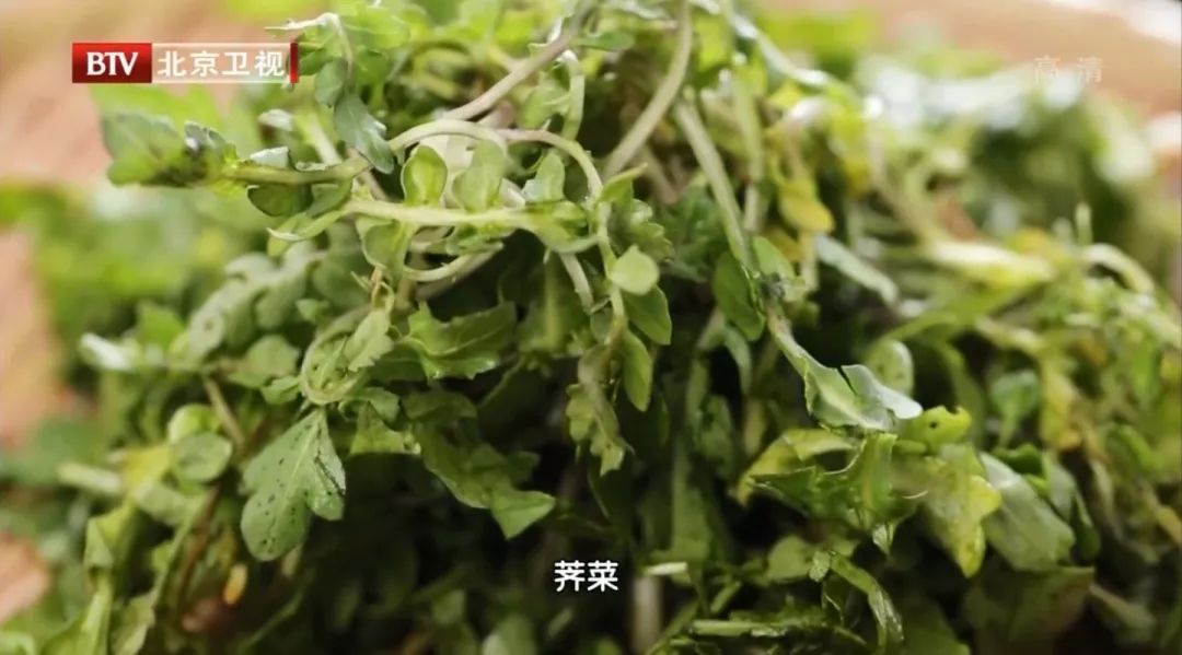 三月三,荠菜赛仙丹!营养是萝卜,菠菜2倍!吃错太危险,要小心