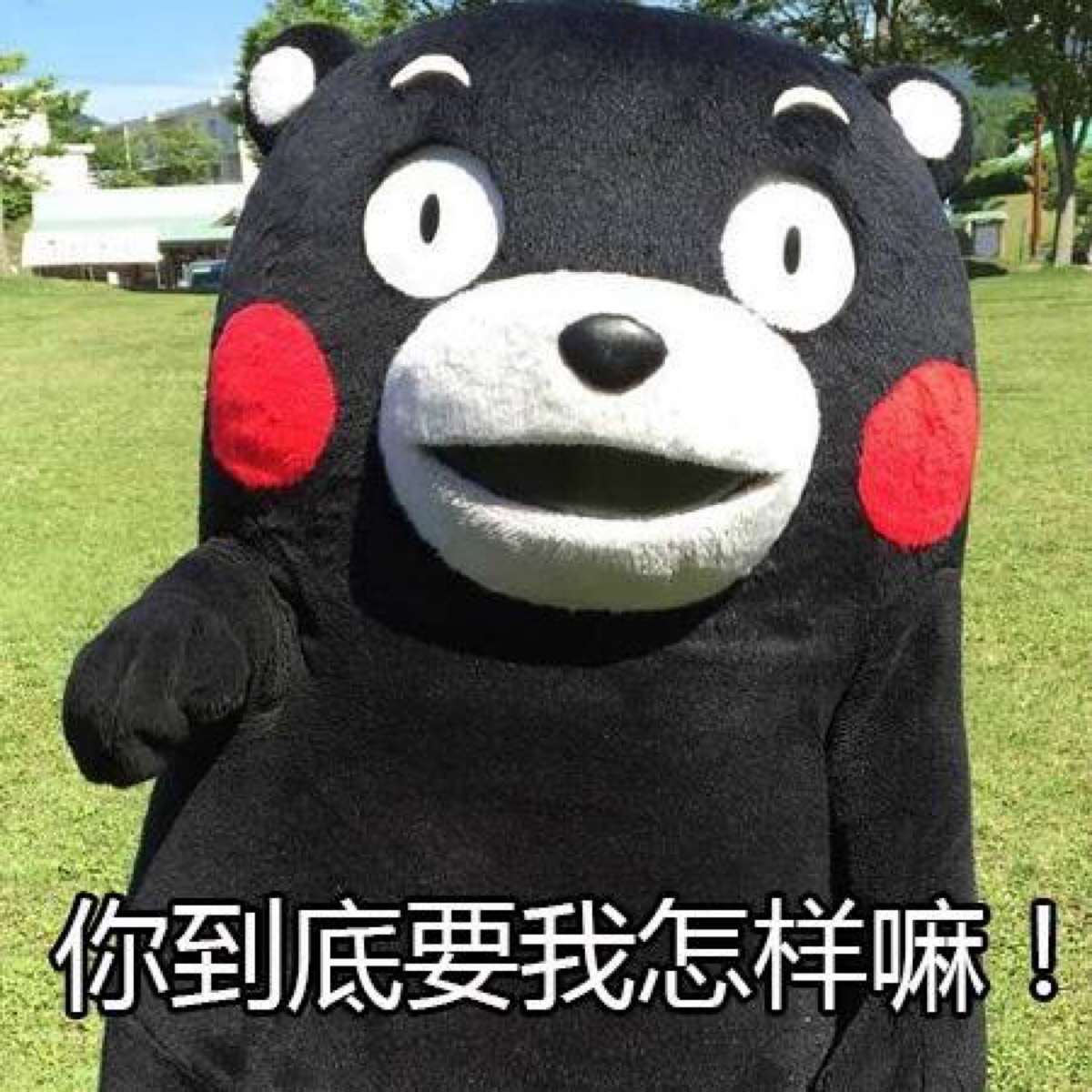 d540f8ae9b7347b293af587beb6c30c6.jpeg