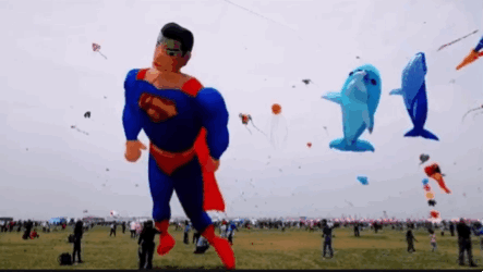 d5c88c65350e4dd3be0b5b5db2b1cb87.gif