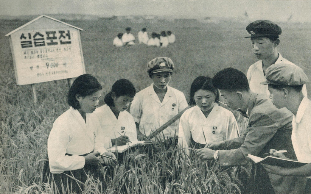 老照片:70年代的朝鲜农业学校 当年朝鲜对农业还是很重视的