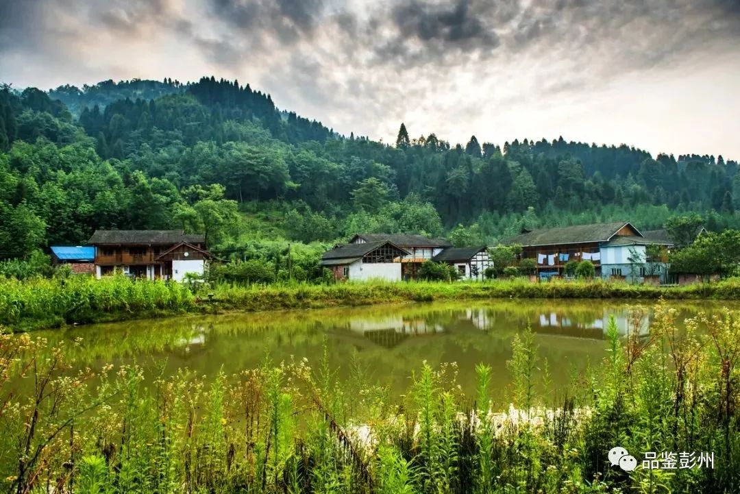 大坪山位于通济镇大坪村,海拔一千多米,夏季是隐匿在人间的世外桃源