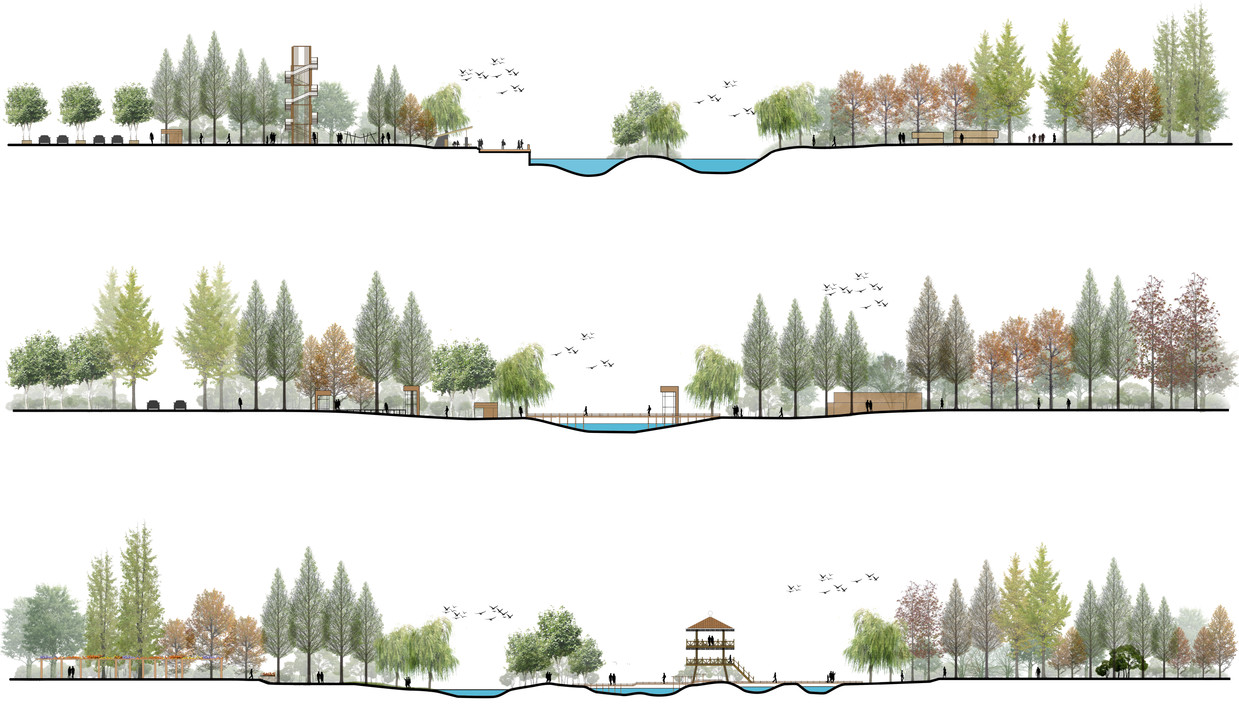 平剖面图里所涵盖的 国外精选分层剖面图以及 公园滨水景观剖面 精选