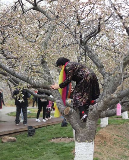 网友说,无论当事人是大连人还是外地人,这样做都是可耻的.