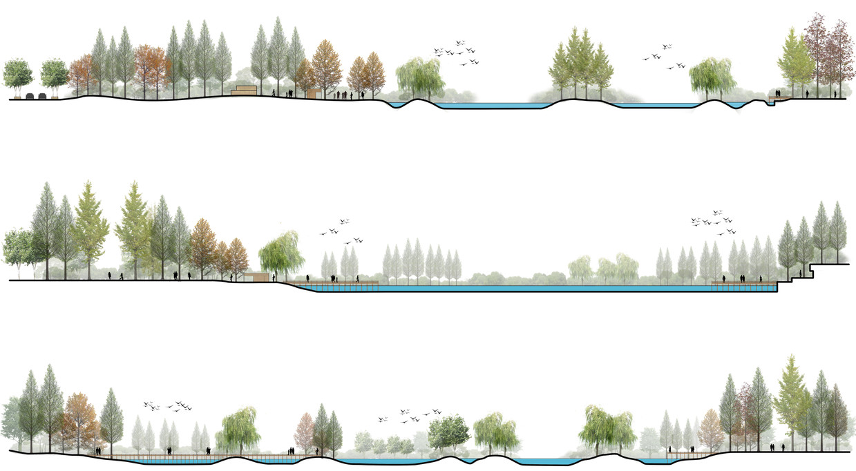 平剖面图里所涵盖的 国外精选分层剖面图以及 公园滨水景观剖面 精选