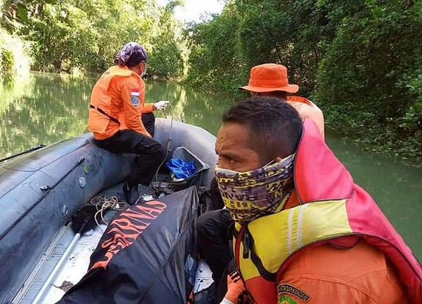 印尼鱷魚將男子拖入水中 次日將屍體完好送回 寵物 第1張