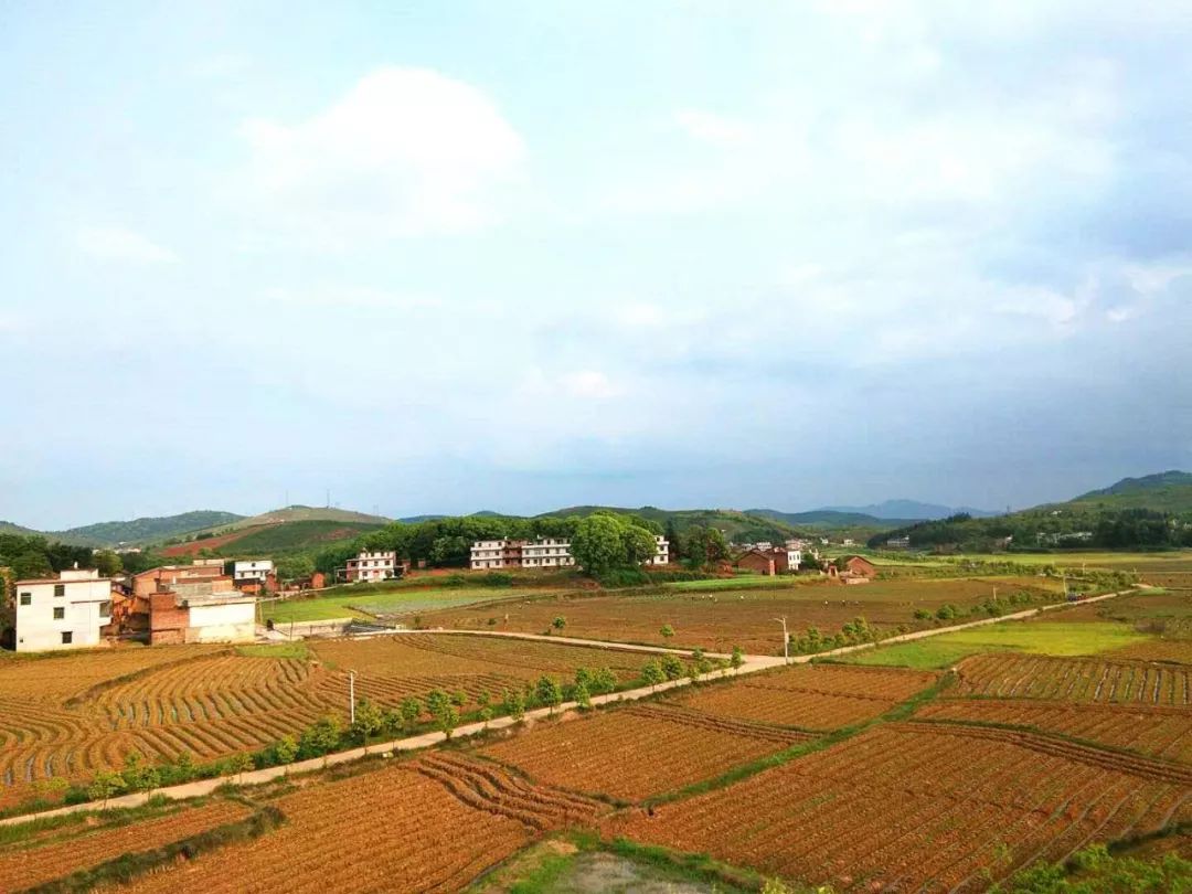 上石羔村泉山村田芝村公平圩镇公平村石湾村大和圩乡春江铺村瑶洞村