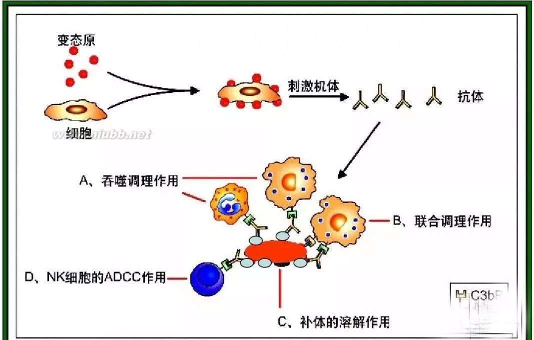 间充质干细胞应用之自身免疫性疾病