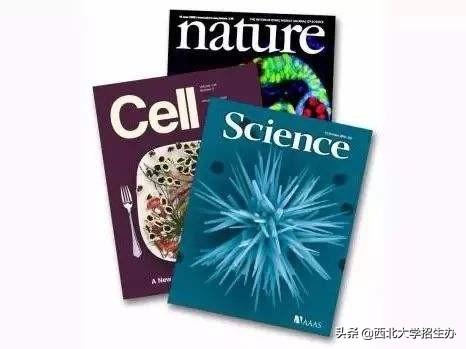 Nature、Science等顶级期刊发文数：西北大学连续3年全国前10！
                
         