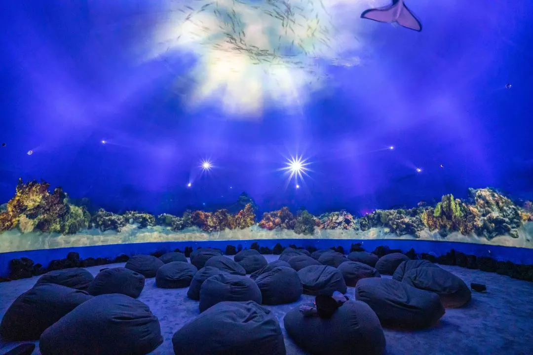 全球首展世纪汇深蓝之境开启3d魔幻海底世界