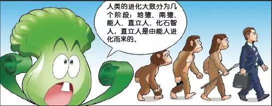 古猿为什么会进化成人类? 人类的祖先是何时开始直立行走的?