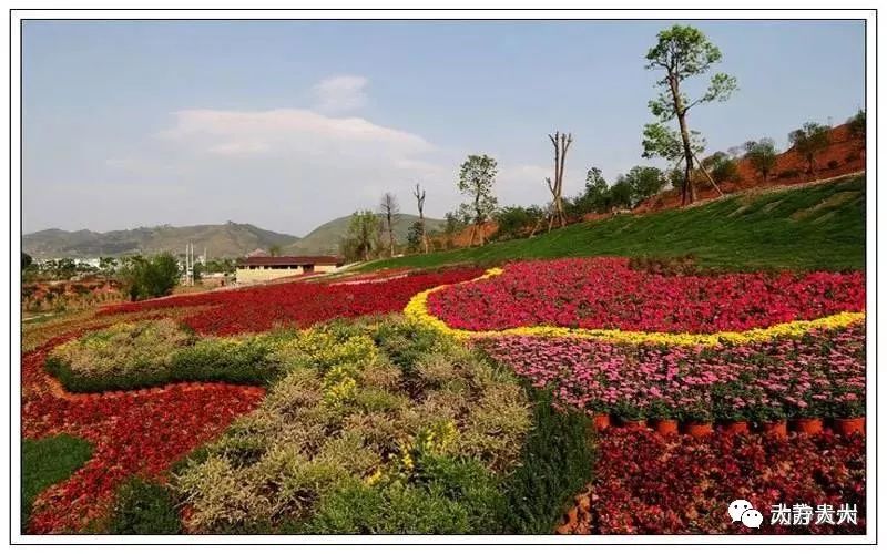 惠水好花红乡 来源:惠水县政府网站