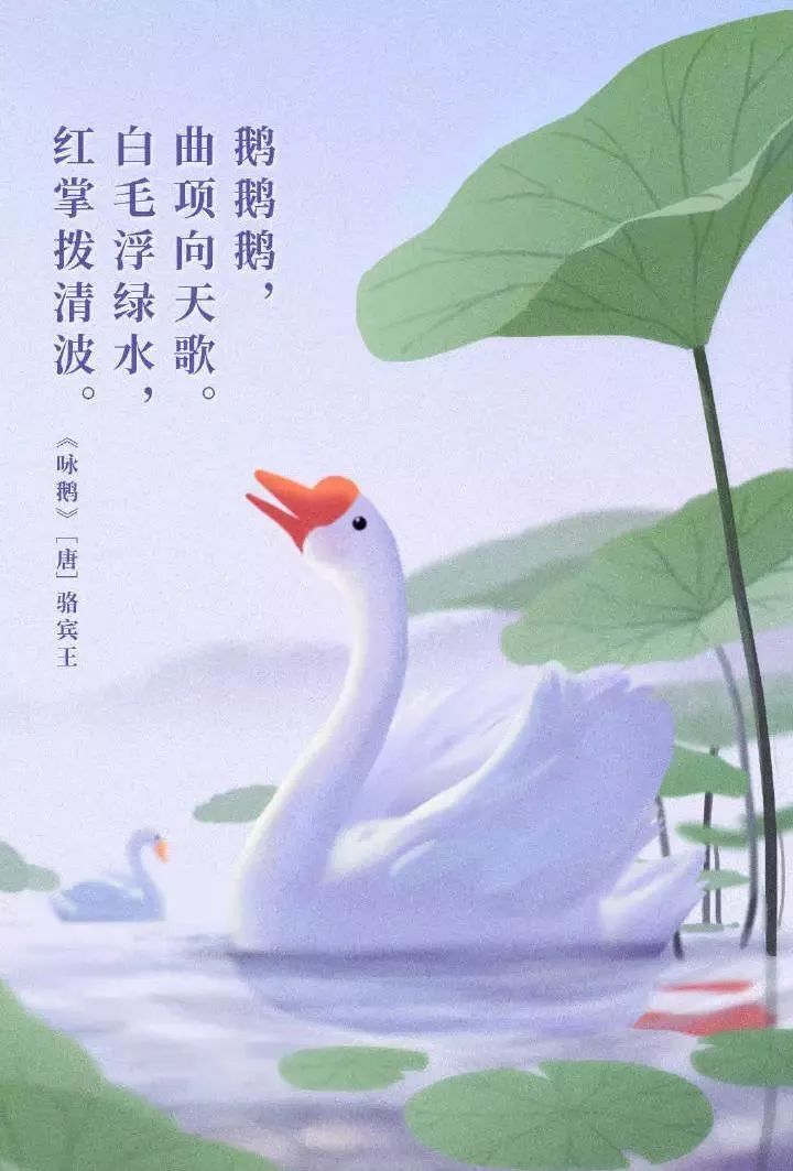 白毛浮绿水,曲项向天歌.