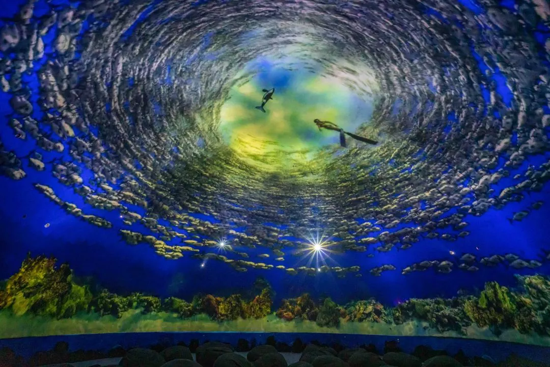 全球首展世纪汇深蓝之境开启3d魔幻海底世界