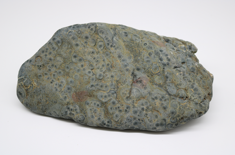 珊瑚化石神奇石头