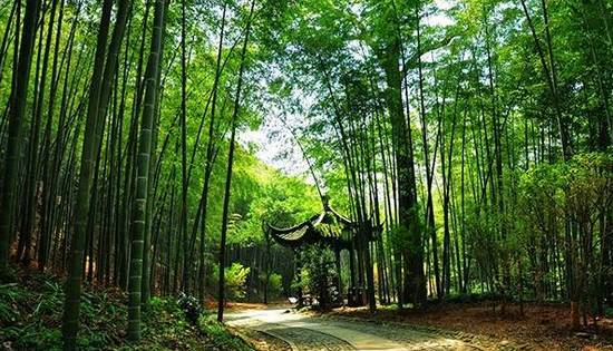 杭州春天最全野餐地图草坪河边山顶近郊赶紧抓住春天的尾巴