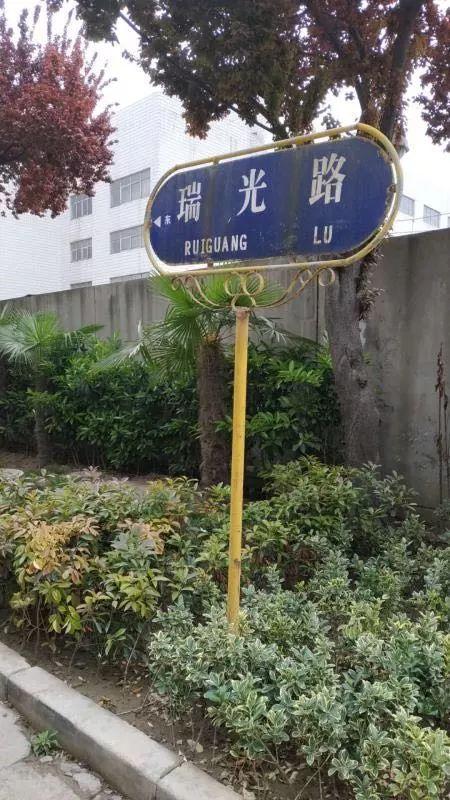 郑州路牌换成国际范,市民:先把路整清楚通畅了再说!