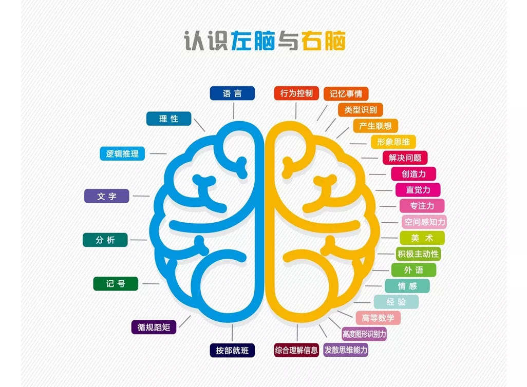 在现实生活中,95%以上的人仅仅使用自己左脑,这是由于:人体的自然