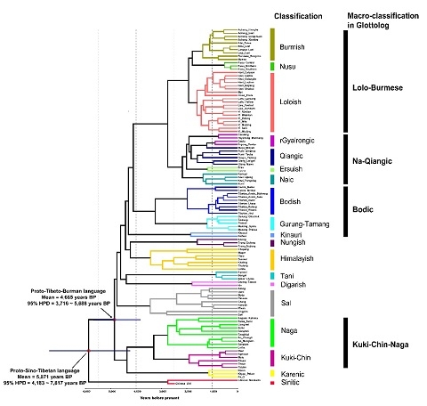 中国学者揭示汉藏语系起源于中国北方