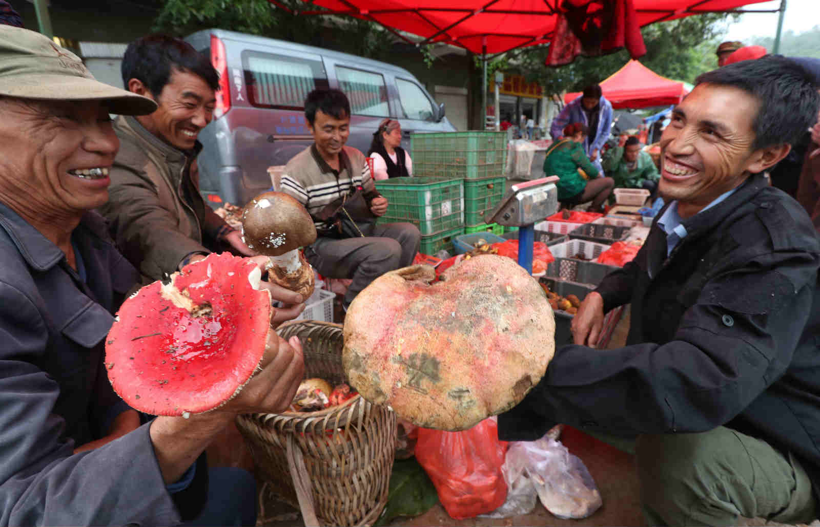 禄丰广通镇多少人口_禄丰金山镇图片