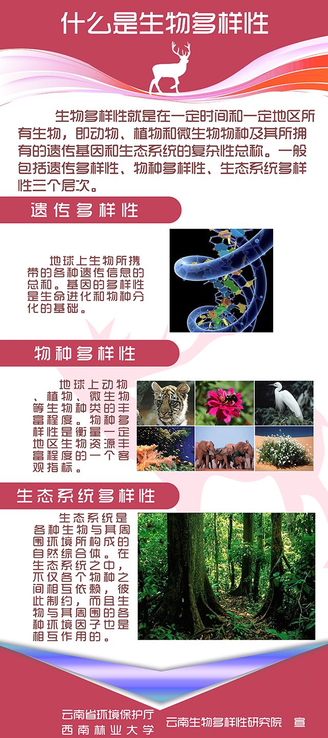 优秀生态环境宣传产品(11)|保护生物多样性,需要你的行动(海报)