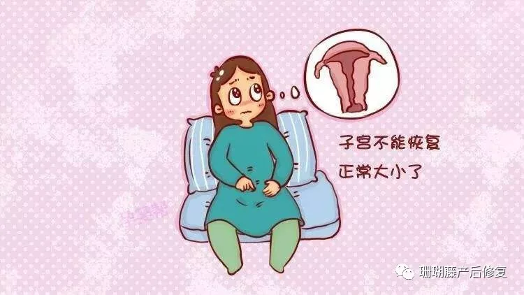 妈妈可以做些什么助力子宫恢复?