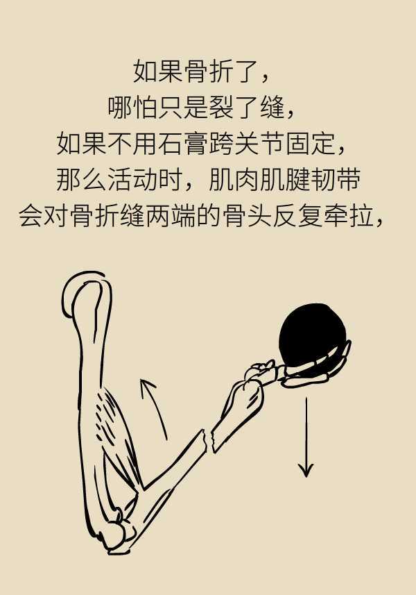2b3518db1996474dbd558a597a9fe2de.jpeg