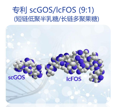 通过模拟短链低聚半乳糖(gos)和长链多聚果糖(fos)的分子结构,当比列