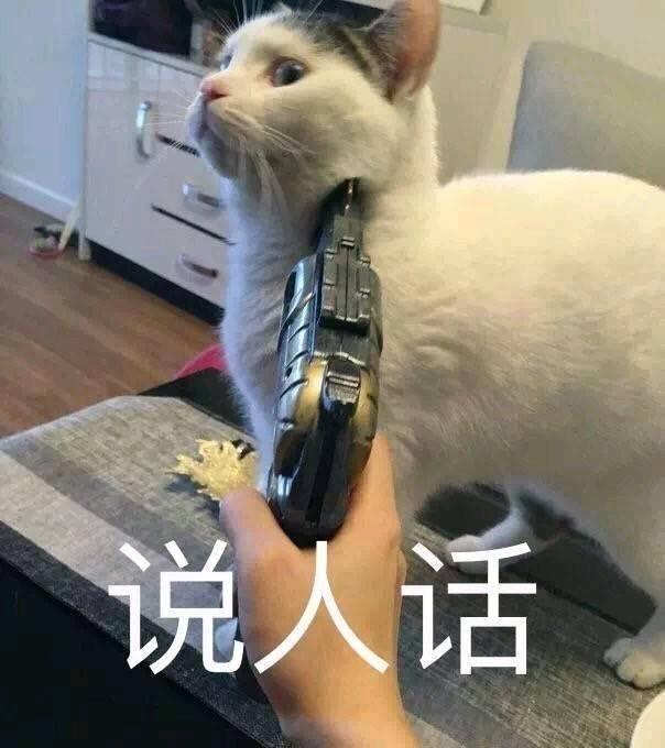 暴躁猫咪表情包:说人话