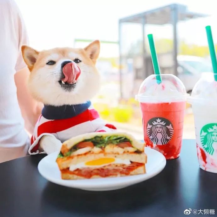 【被窝段子20190426】上帝是公平的 给了你丑