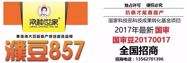 蚜虫为啥这么难杀？你认识几种蚜虫？