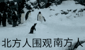 ϱѧ쵽ж󣿸˽£