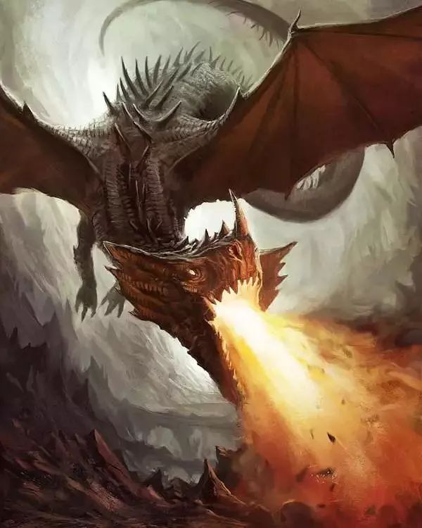 吃生肉美剧,你只需花15分钟做这件事。