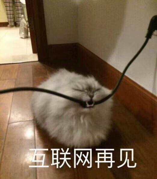 暴躁猫咪表情包说人话