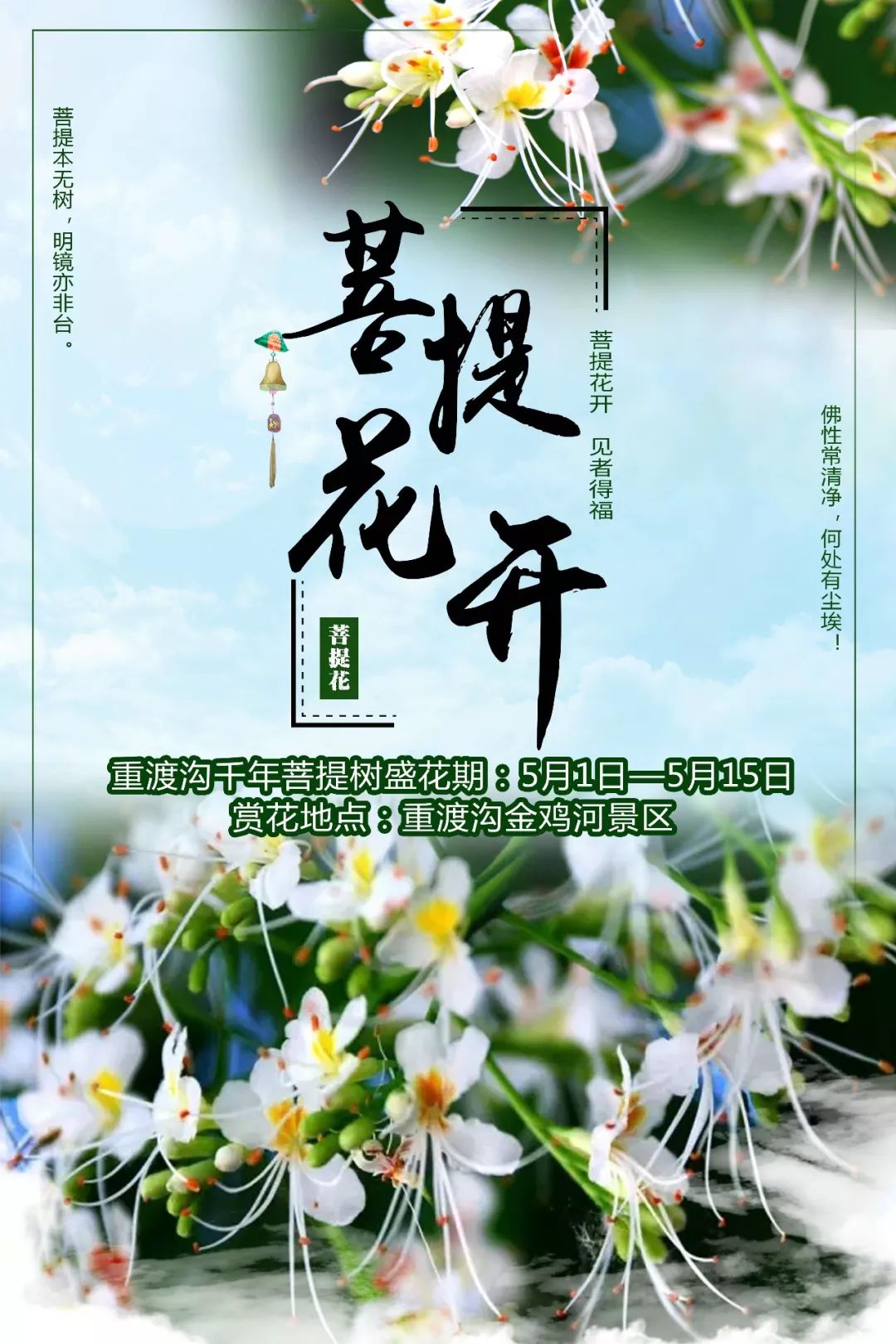 菩提花开,见者得福