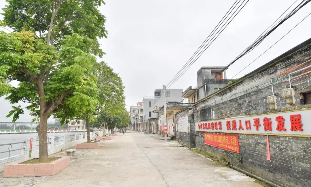 不说不知道,你熟悉的那些眼镜店品牌,大都出自阳江这条村!