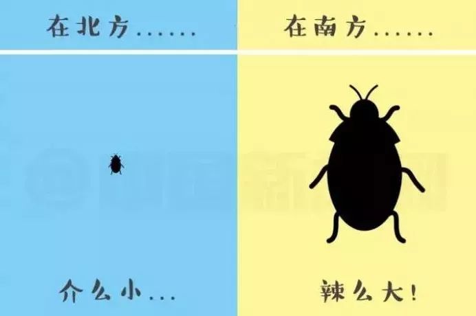 ϱѧ쵽ж󣿸˽£