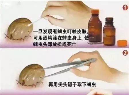                     南宁的家长注意！快看看孩子身上有没有多冒出小黑点，这东西可能会要命！