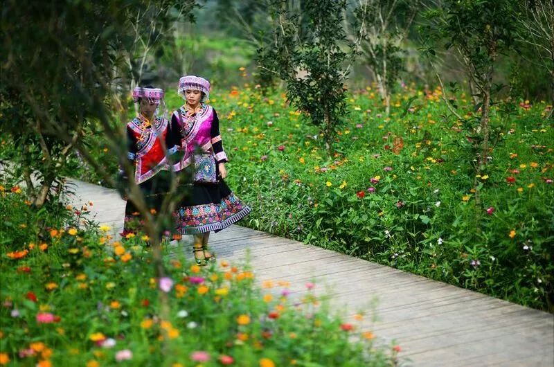 兴文石海景区,宿石海景区/兴文县城;购票详情请咨询兴文石海景区