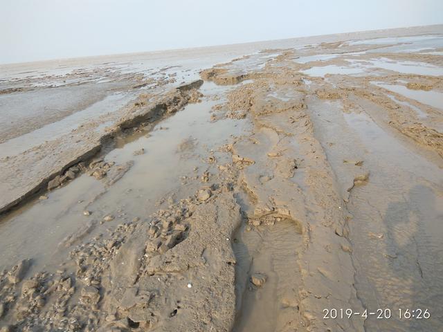 原创黄海沙滩纪行三:潮水退去的沙滩,让我狼狈不堪