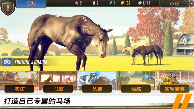 文章配图-17