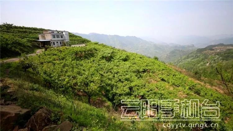 歧阳关俗称"卡门" 是这条古盐道上还仅存一个标志性建筑 是云阳南