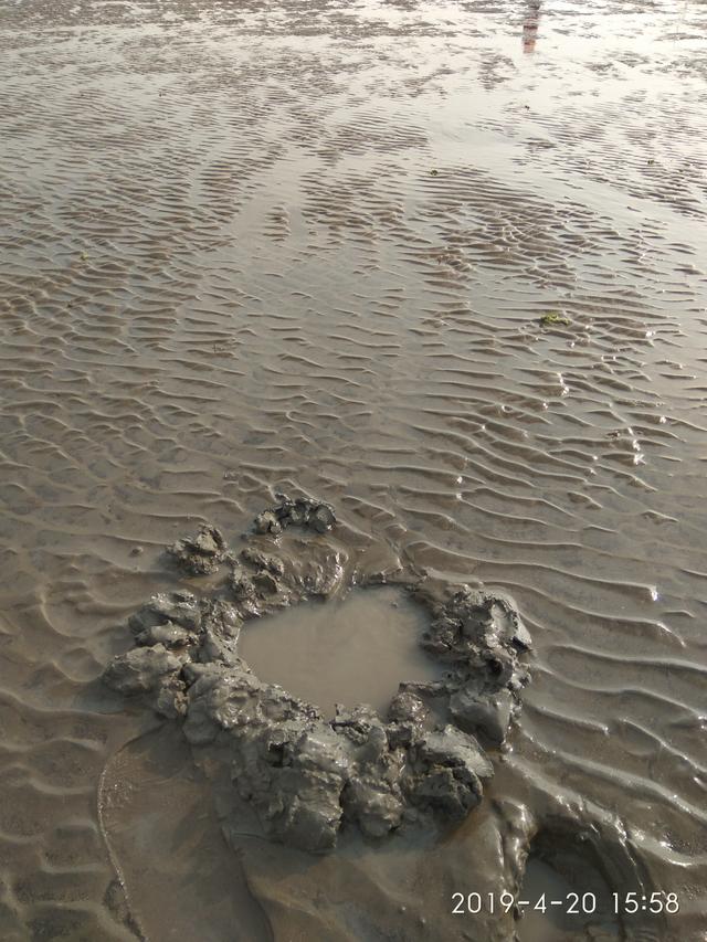 原创黄海沙滩纪行三:潮水退去的沙滩,让我狼狈不堪